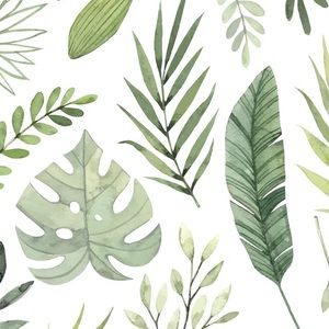 Meet your Posher, Shea